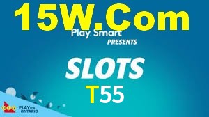T55,T55.Com