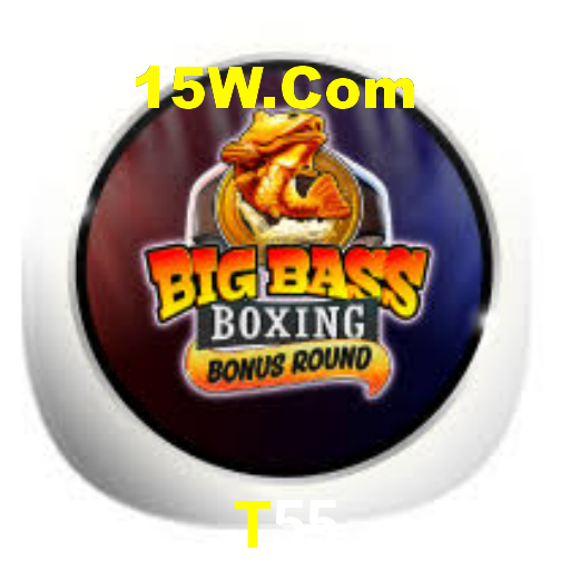 T55.Com
