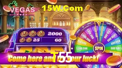 Login Seguro T55